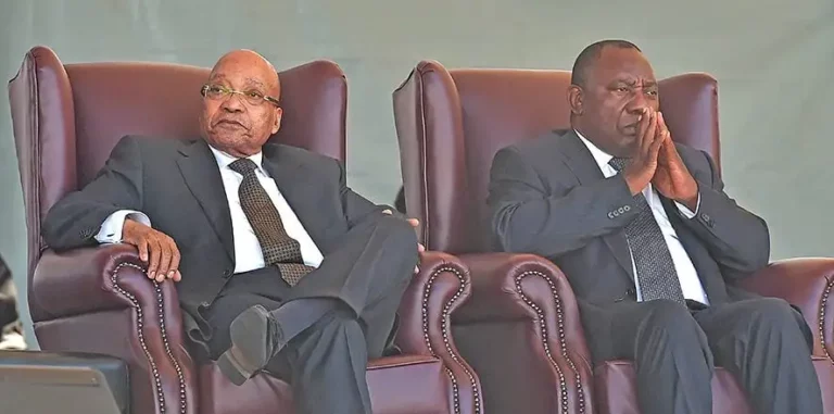 Court to test pro-Ramaphosa statement against Zuma