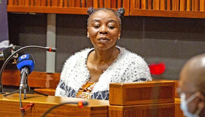 Rosemary Ndlovu case