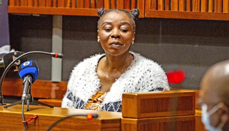 Rosemary Ndlovu case