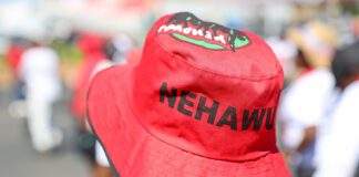 Nehawu president Mike Shingange