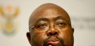 Thulas Nxesi