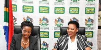public protector