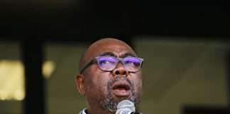 Thulas Nxesi