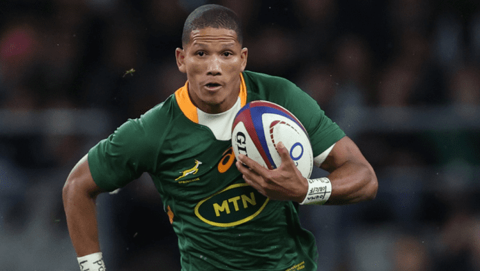 Springboks versus Pumas clash