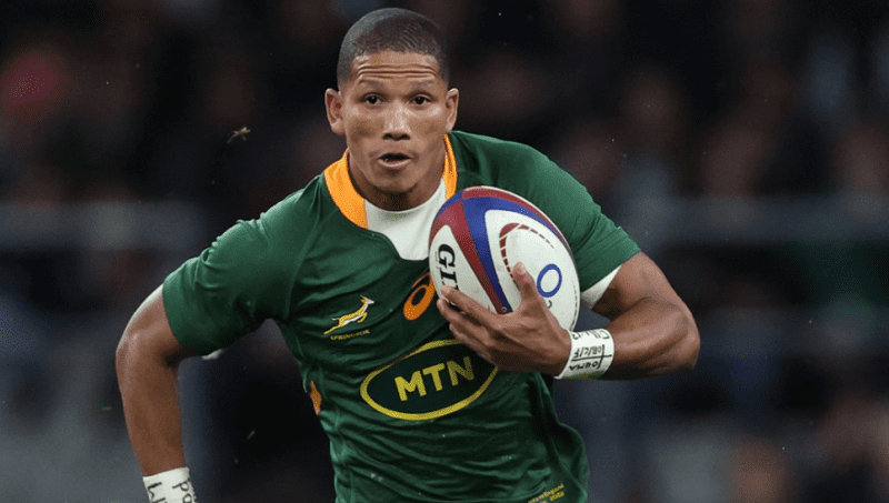 Springboks versus Pumas clash