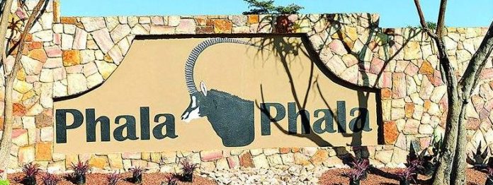 Phala Phala farmgate report