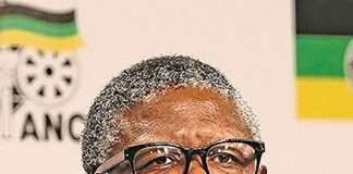 Fikile Mbalula