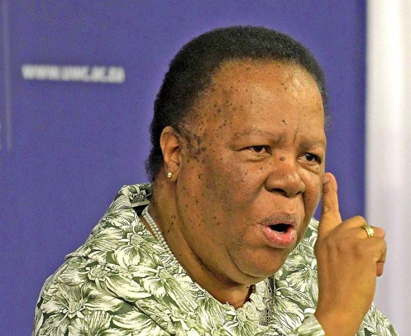 Pandor challenges Malema