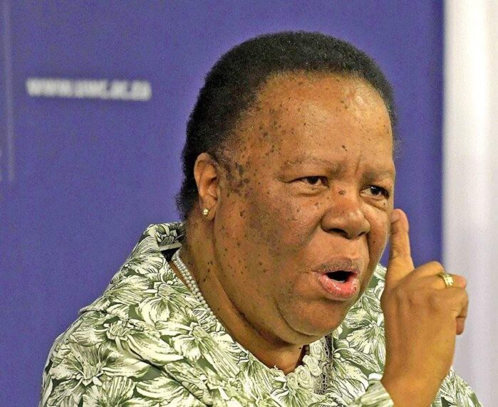 Pandor challenges Malema