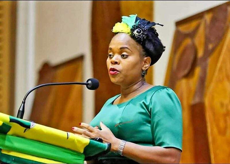Limpopo Premier