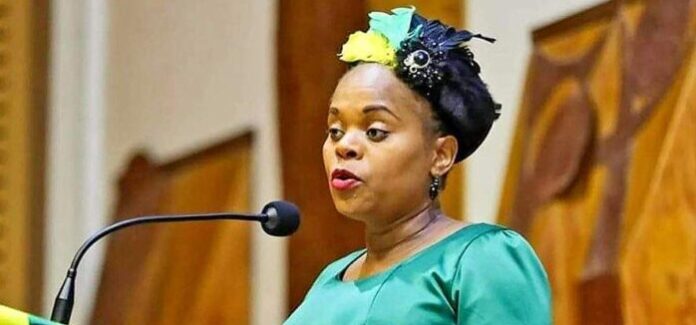 Limpopo Premier