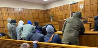 Mashatile VIP protectors