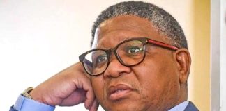 Fikile Mbalula