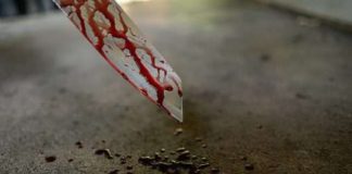 Man kills mother, sister and neighbour