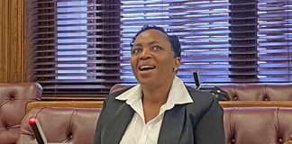 Public protector