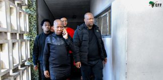 Julius Malema