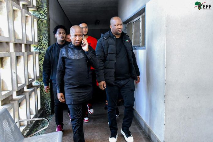 Julius Malema