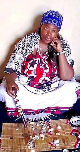 Traditional healers