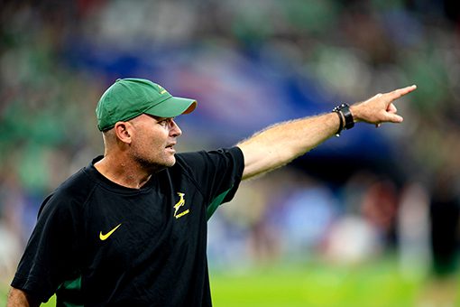 Springboks