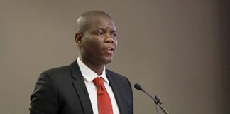 South Africa welcomes support from Germany