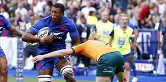 Springboks