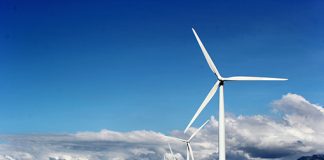 Maia in green partnership with Nedbank