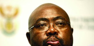Department of Employment and Labour Minister Nxesi