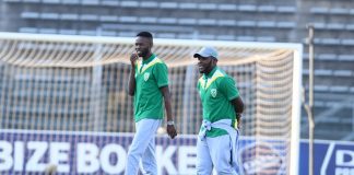 Golden Arrows