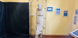 Mental health museum