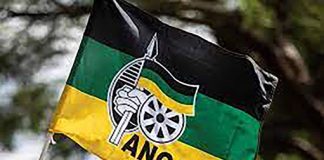 Youth league wants ANC out of coalition with EFF in Ekurhuleni