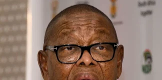 Blade Nzimande