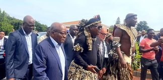 Ngizwe Mchunu