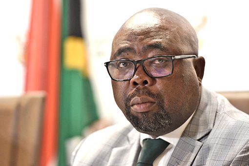 Thulas Nxesi.