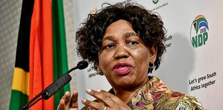 department of basic education: Angie Motshekga