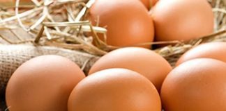 egg shortage Inflation