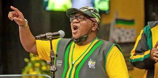 Fikile Mbalula media briefing