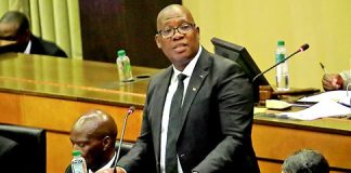 Panyaza Lesufi announces probe into monthly rent