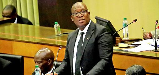 Panyaza Lesufi announces probe into monthly rent