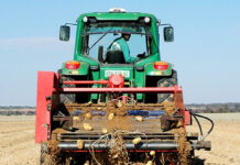 Mathews Phosa | Engineering inclusion: The missing link in agricultural growth