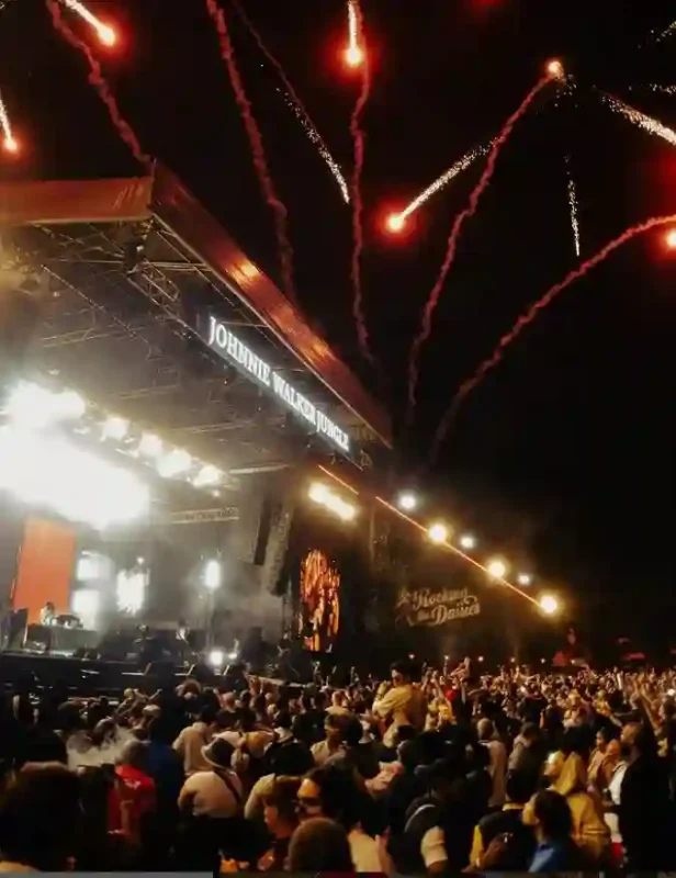Rocking The Daisies