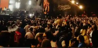 Rocking The Daisies