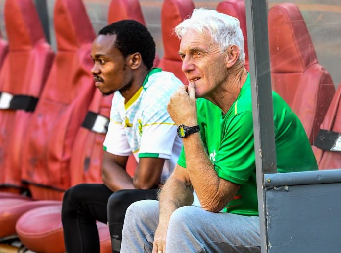 There is too much pressure on Percy Tau – Broos