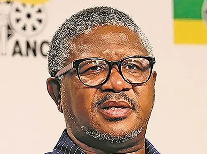 Fikile Mbalula sheriff