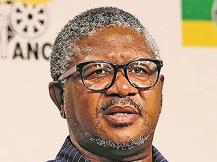 Fikile Mbalula sheriff