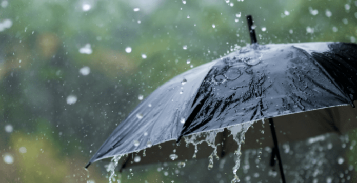 More rain forecast for December and new year