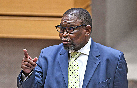 Babsa urges Godongwana to prioritise people, not political elite