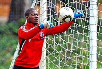 Lawyer grills top sleuth on number of men who killed Senzo Meyiwa