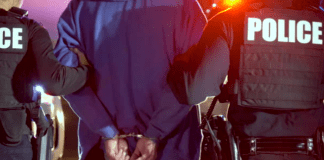 Zim nationals arrested