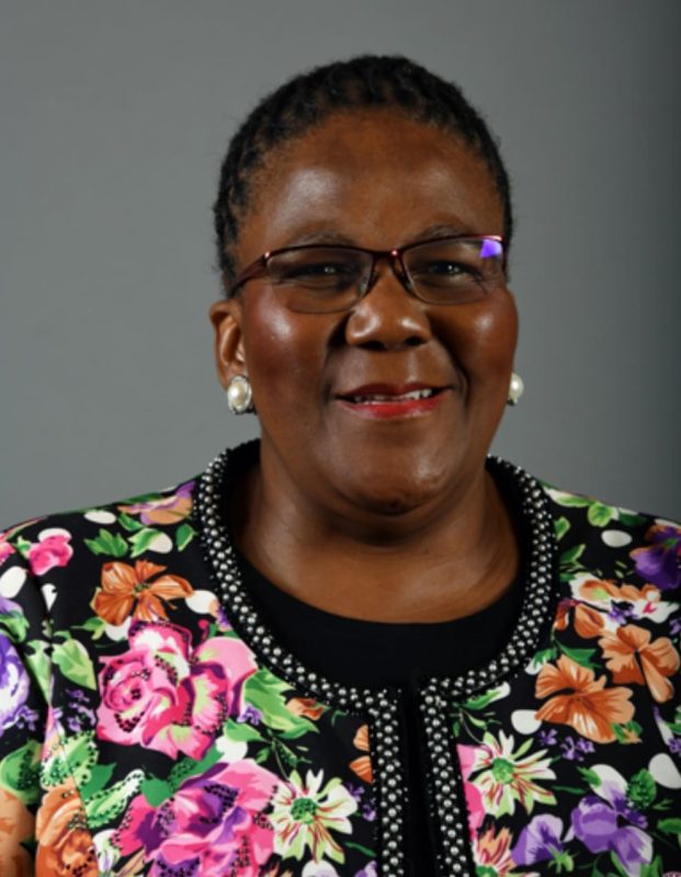President Ramaphosa suspends the Deputy Minister of Small Business Development Dipuo Peters.