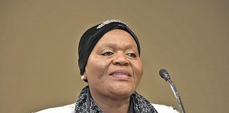 Nxesi in crosshairs over suspended DG